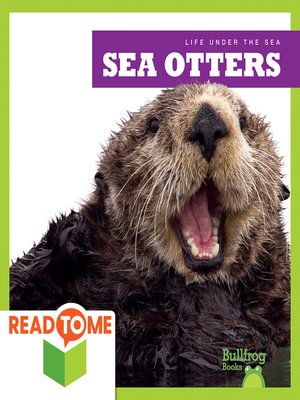 cover image of Sea Otters
